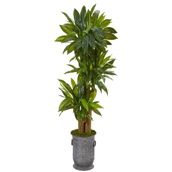 5’ Corn Stalk Dracaena Artificial Plant in Vintage Metal Planter (Real Touch)