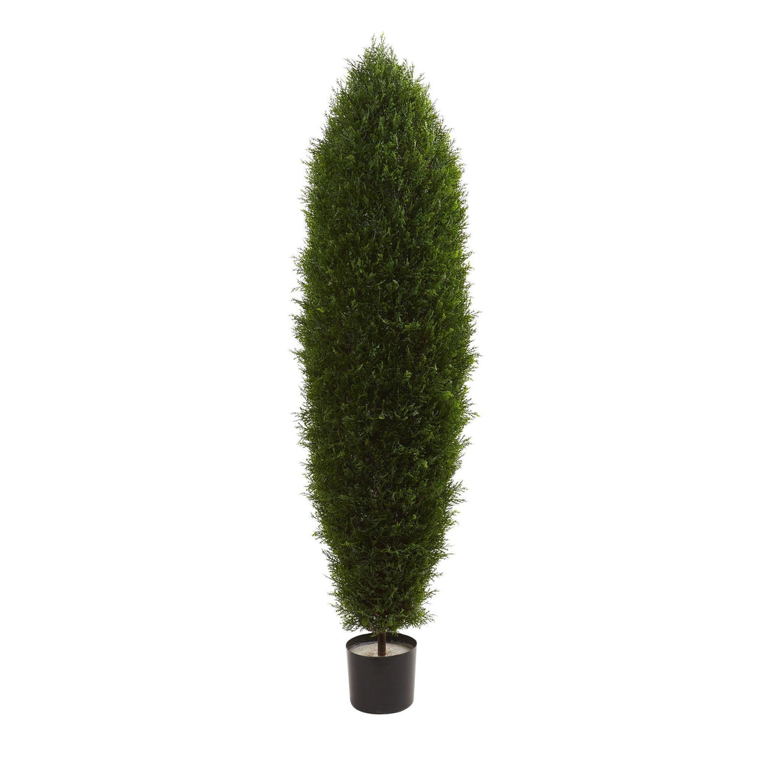 indoor cypress plant 5' Cypress Tree UV Resistant (Indoor/Outdoor)