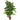 5' Dieffenbachia Silk Plant (Real Touch)