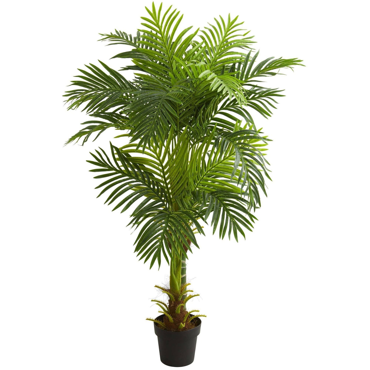 5’ Double Stalk Hawaii Palm Artificial Tree