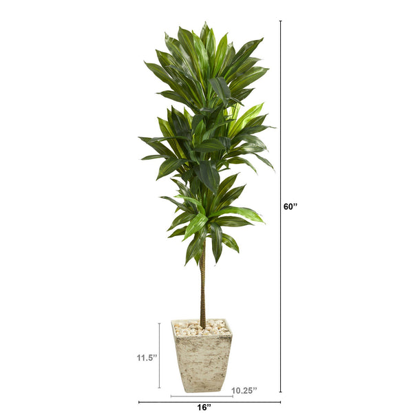 5’ Dracaena Artificial Plant in Country White Planter (Real Touch)