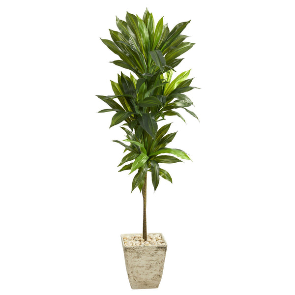 5’ Dracaena Artificial Plant in Country White Planter (Real Touch)