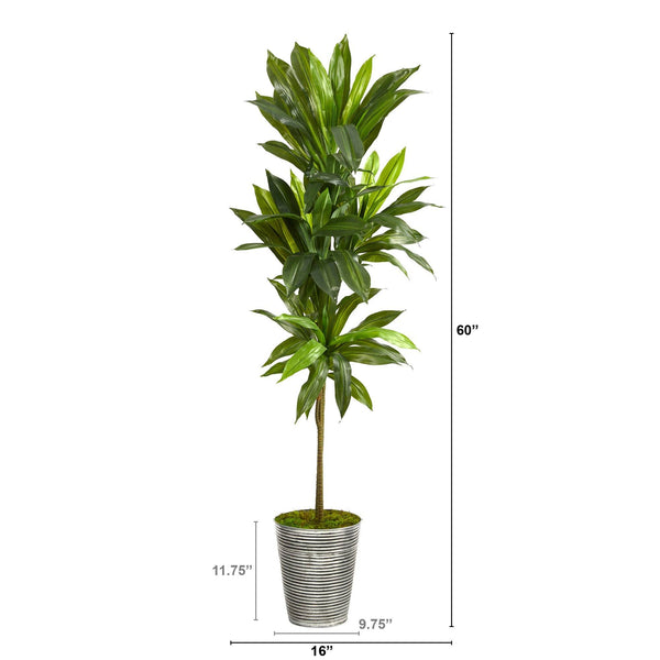 5’ Dracaena Artificial Plant in Decorative Tin Planter (Real Touch)