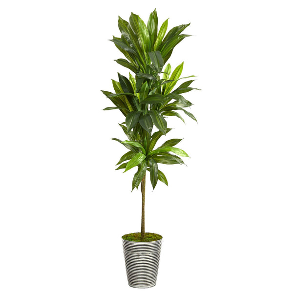 5’ Dracaena Artificial Plant in Decorative Tin Planter (Real Touch)