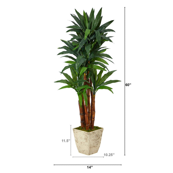 5’ Dracaena Artificial Tree in Country White Planter