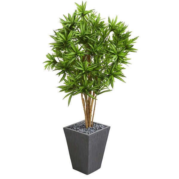 5' Dracaena Artificial Tree in Slate Finished Planter