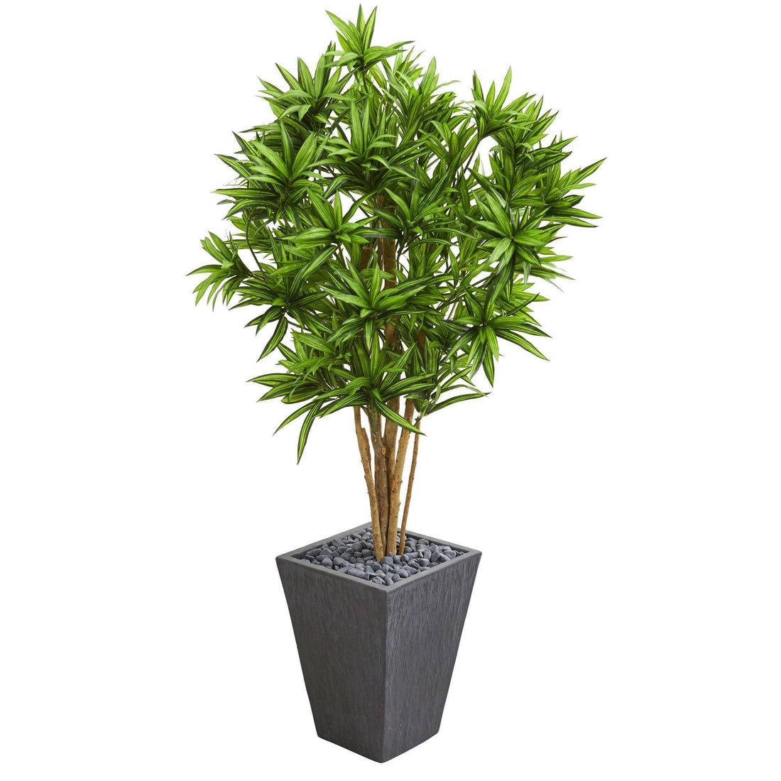 dracaena new shoots Dracaena Artificial Tree in Slate Finished Planter