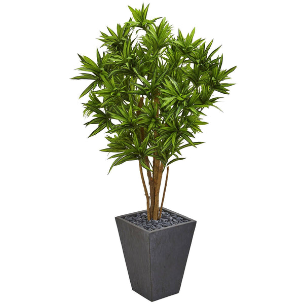 5' Dracaena Artificial Tree in Slate Finished Planter