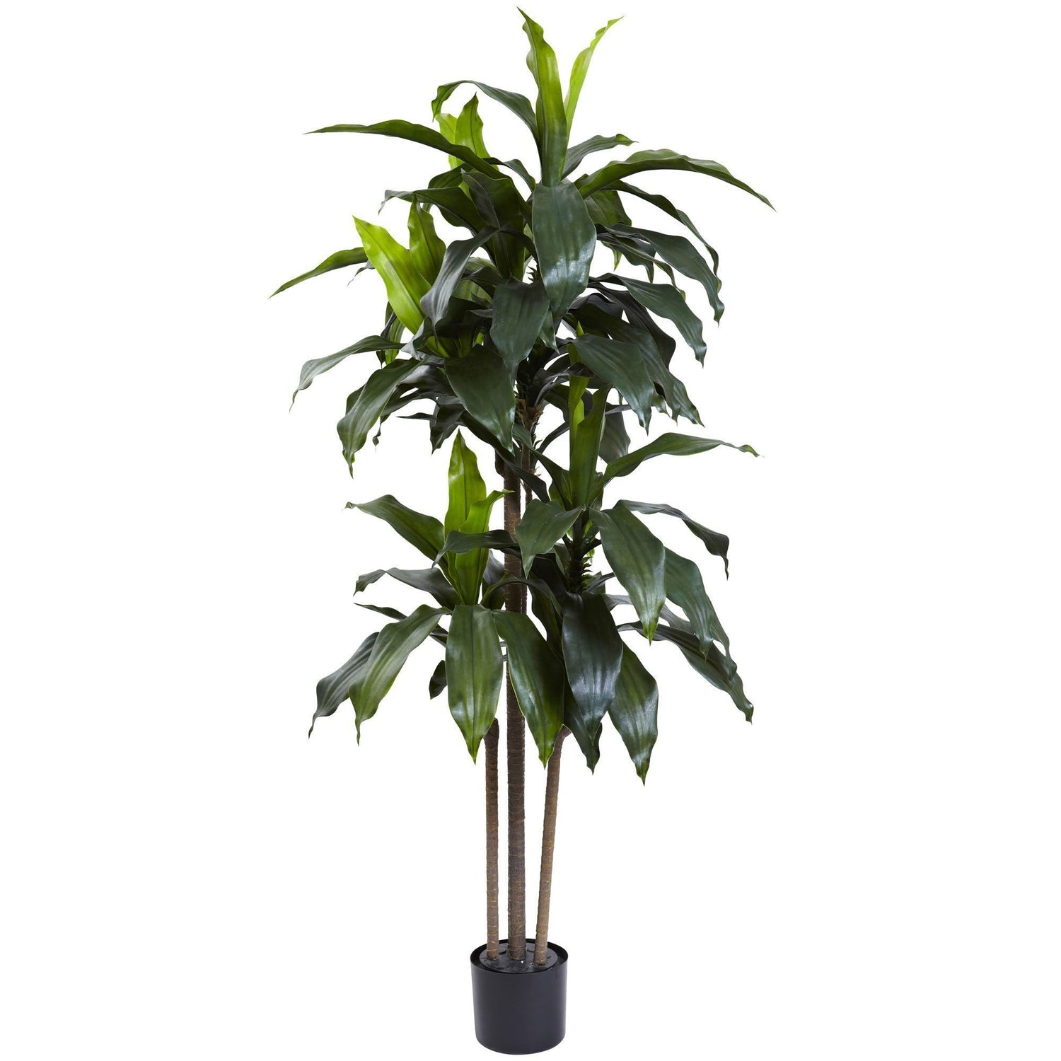 5’ Dracaena Plant UV Resistant (Indoor/Outdoor)