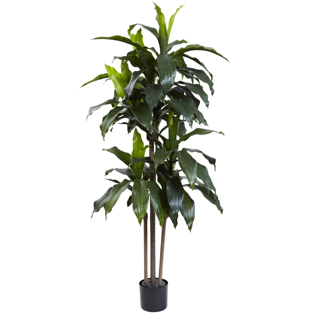 indoor palm tree dracaena Nearly Natural 5 ft. UV-Resistant Indoor/Outdoor Dracaena Plant