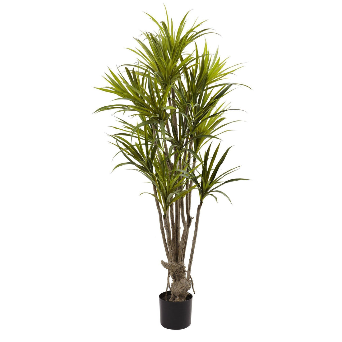 nearly natural dracaena Nearly Natural 5 ft. Dracaena Silk Tree
