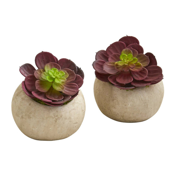 5” Echeveria Succulent Artificial Plant in Gray Planter (Set of 2)