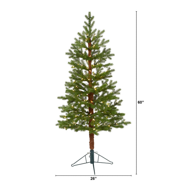 5' Fairbanks Fir Artificial Christmas Tree with 150 Clear Warm (Multifunction) LED Lights and 118 Bendable Branches