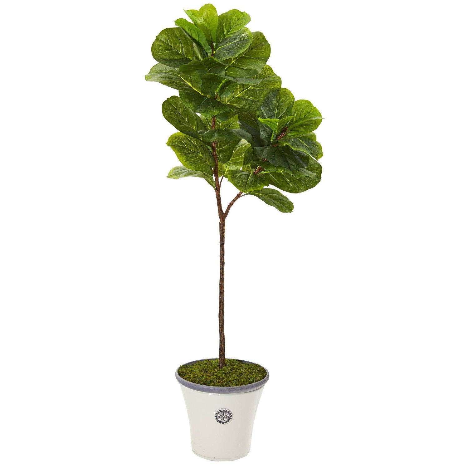 5’ Fiddle Leaf Artificial Tree in Decorative Planter (Real Touch)