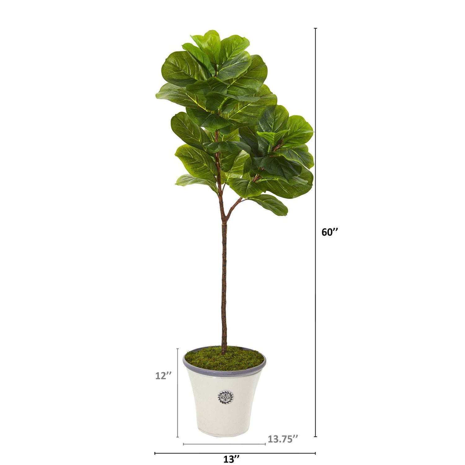 5’ Fiddle Leaf Artificial Tree in Decorative Planter (Real Touch)