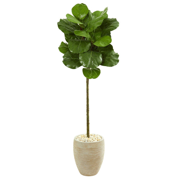 5’ Fiddle Leaf Artificial Tree in Sand Colored Planter