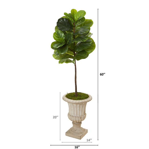 5’ Fiddle Leaf Artificial Tree in Sand Finished Urn (Real Touch)