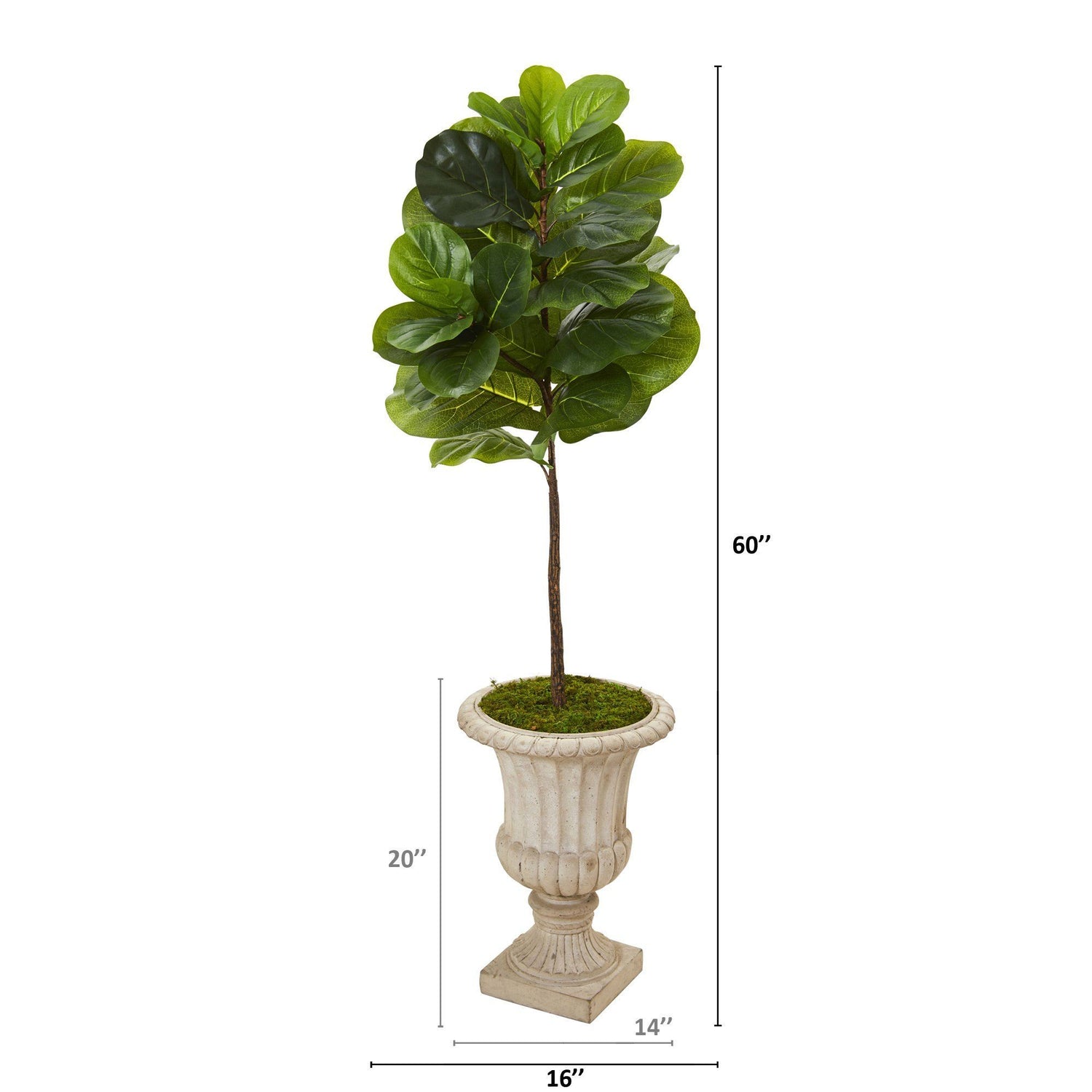 5’ Fiddle Leaf Artificial Tree in Sand Finished Urn (Real Touch)