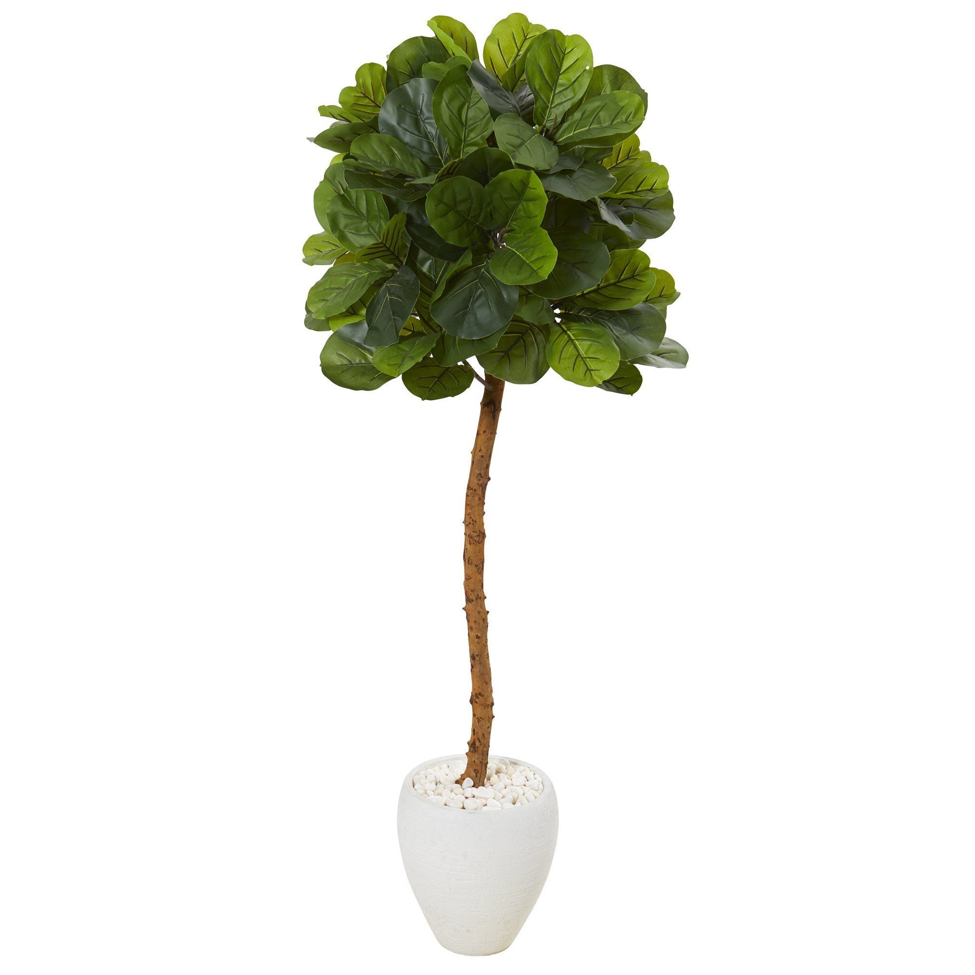 5’ Fiddle Leaf Artificial Tree in White Planter (Real Touch) Nearly