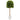 5’ Fiddle Leaf Artificial Tree in White Planter (Real Touch)