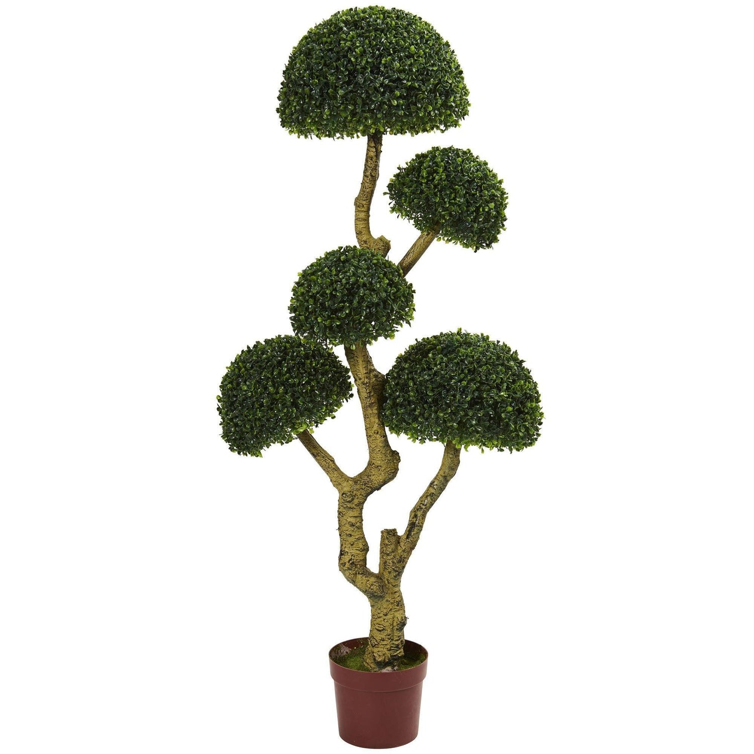 5' Five Head Boxwood Artificial Tree UV Resistant (Indoor/Outdoor)