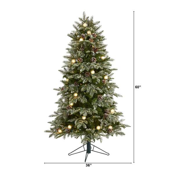 Nearly Natural Inc 5' Flocked Grand Northern Rocky Fir Artificial Christmas  Tree with Warm Micro (Multifunction with Remote Control) LED Lights