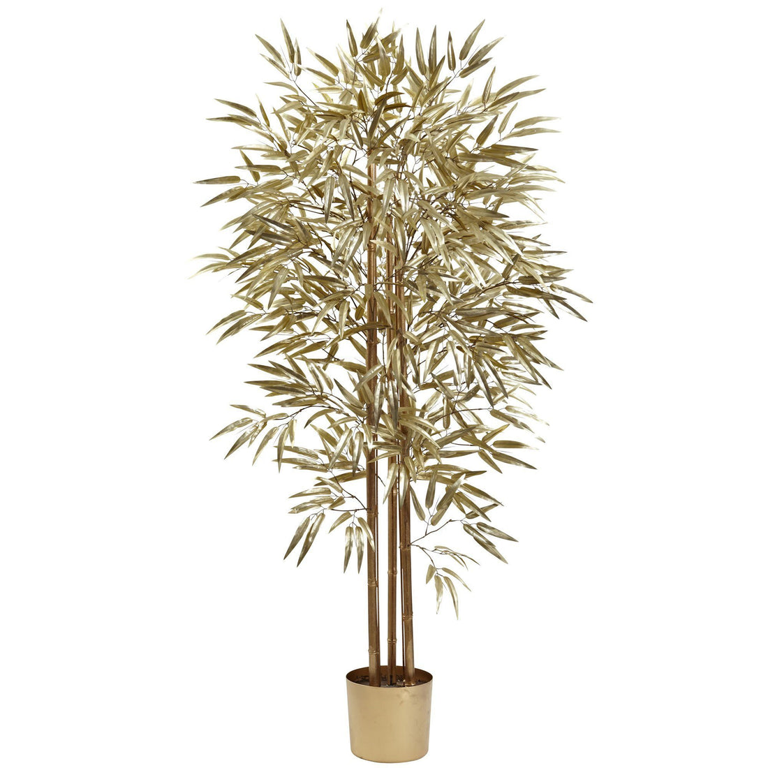 golden bamboo indoor plant 5' Golden Bamboo Tree w/880 Lvs