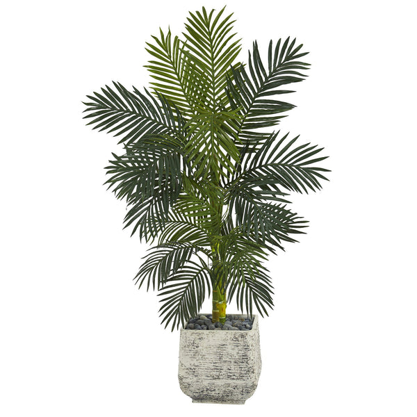5’ Golden Cane Artificial Palm Tree in White Planter