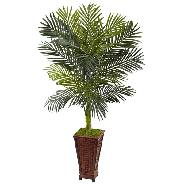 5’ Golden Cane Palm Tree in Decorative Planter