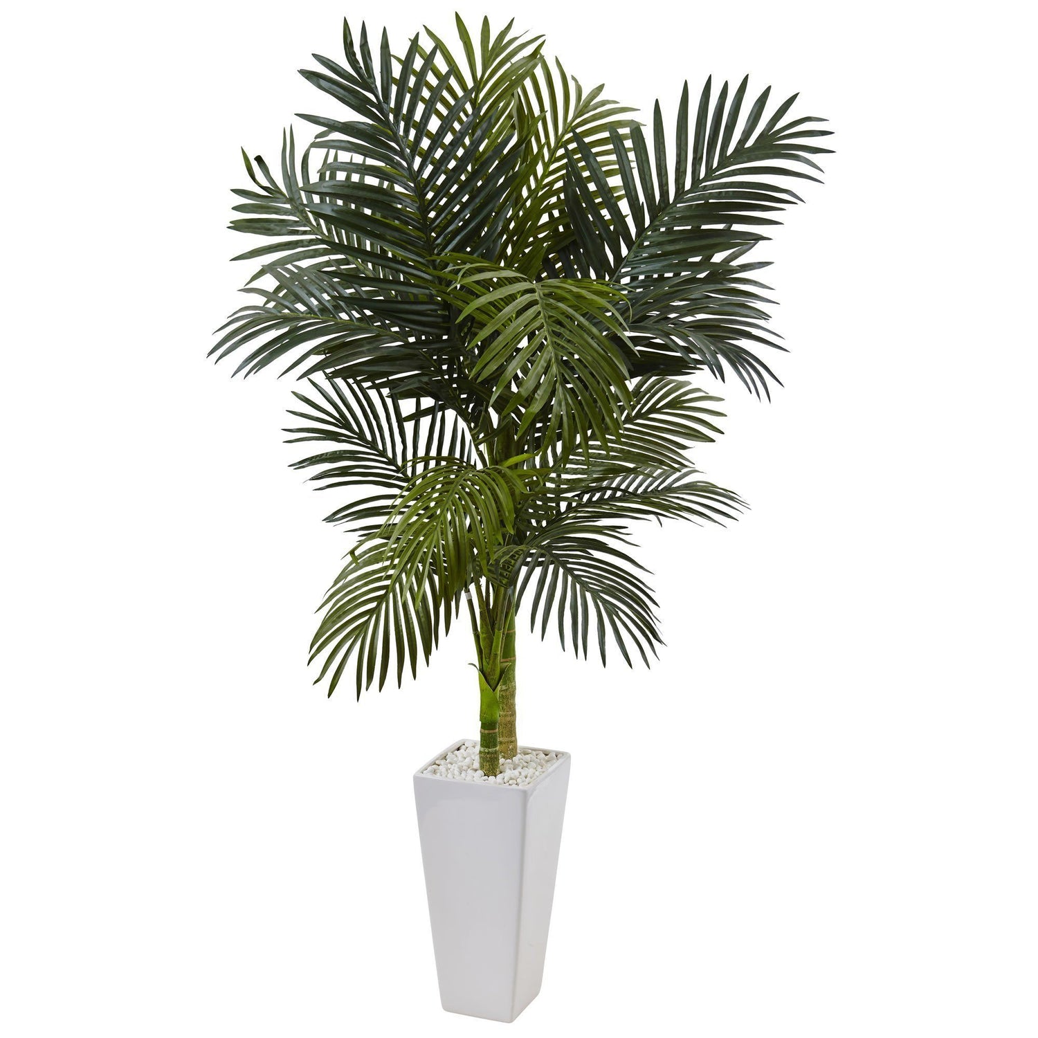 5’ Golden Cane Palm Tree in White Tower Planter