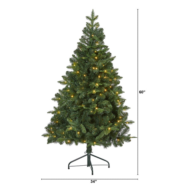 5’ Grand Teton Spruce Flat Back Artificial Christmas Tree with 120 Clear LED Lights and 514 Bendable Branches