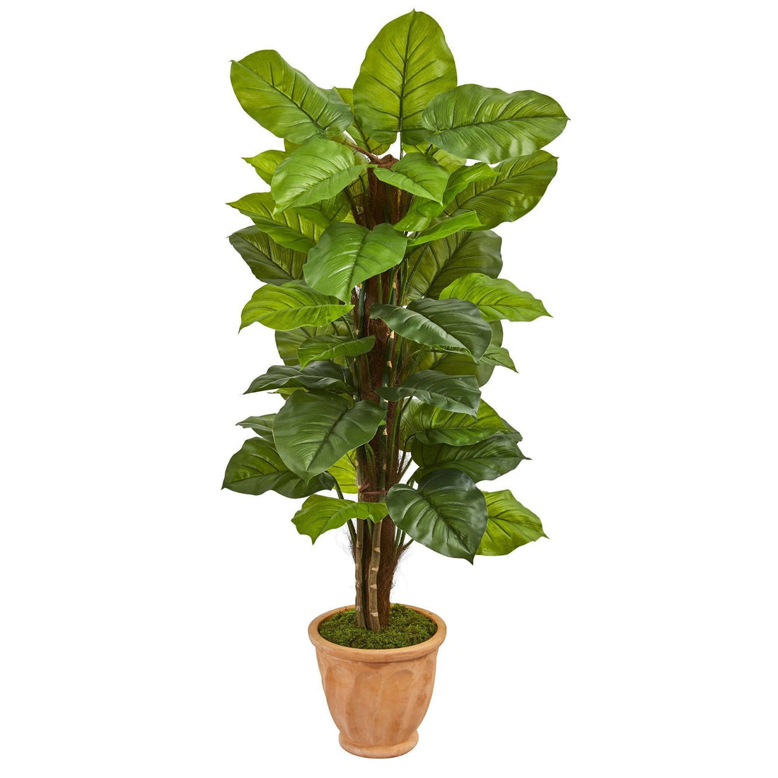 philodendron in terracotta 5' Large Leaf Philodendron Artificial Plant in Terracotta Planter (Real Touch)