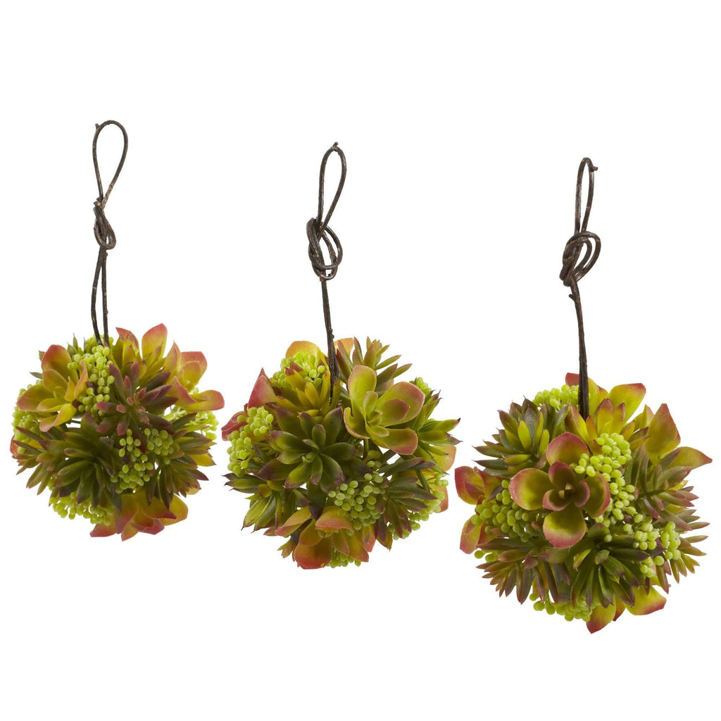 succulent with balls 5” Mixed Succulent Hanging Ball (Set of 3)
