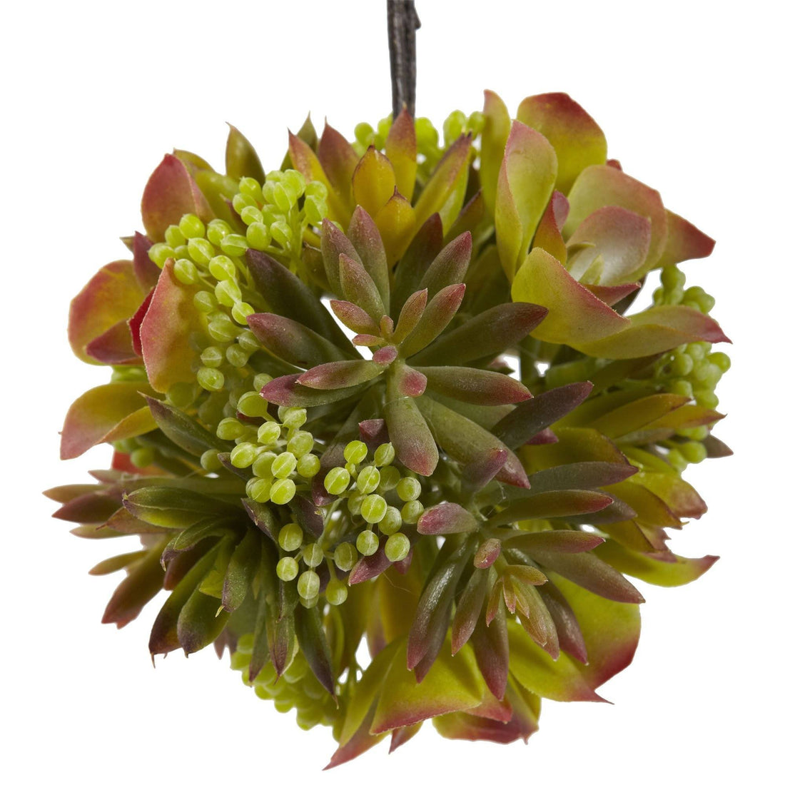 succulent plant hanging balls 5” Mixed Succulent Hanging Ball (Set of 3)
