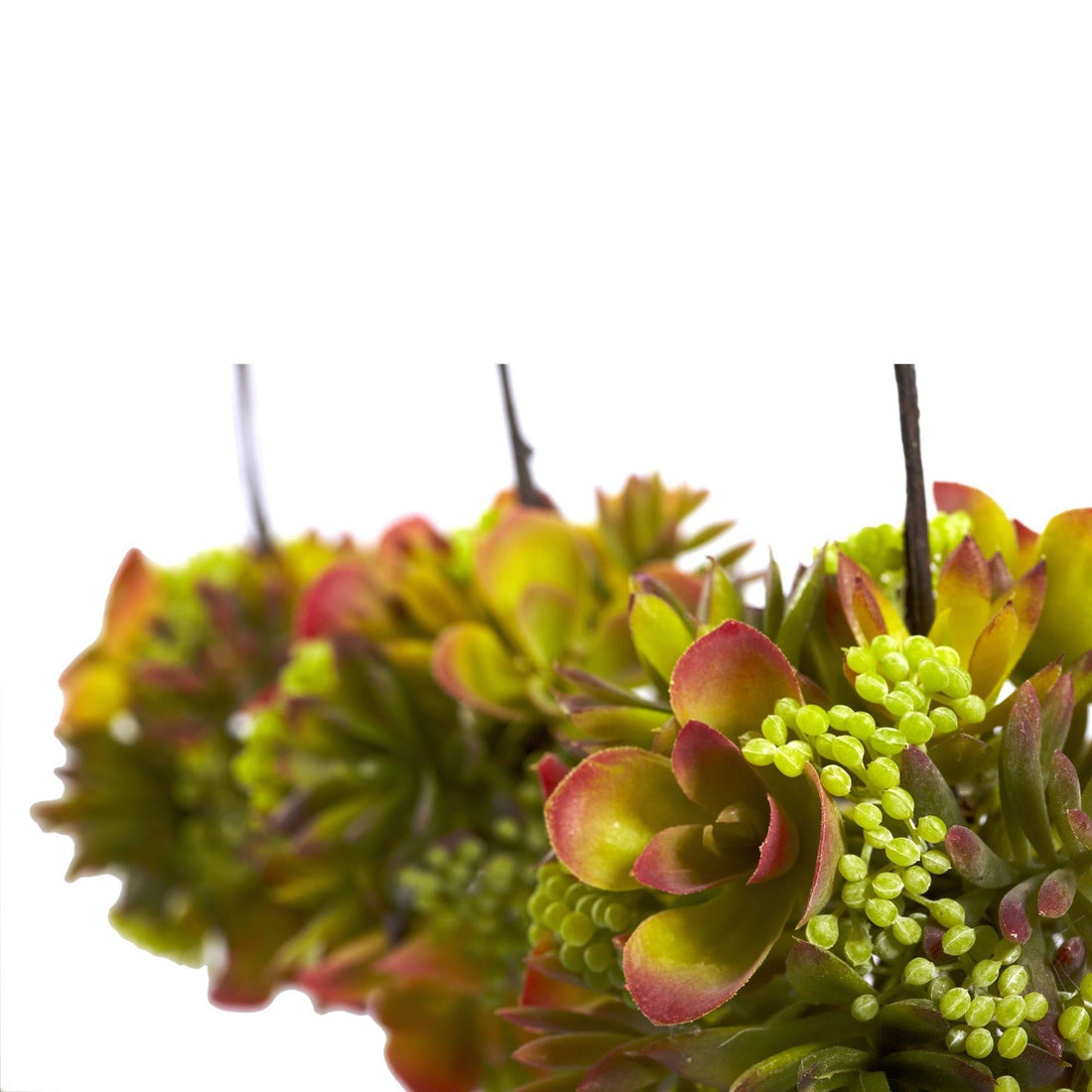 succulent plant hanging balls 5” Mixed Succulent Hanging Ball (Set of 3)