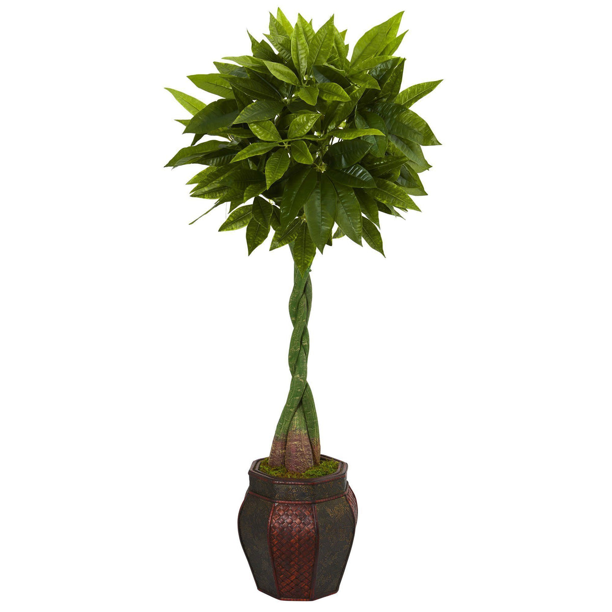 Nearly Natural 5 ft. Artificial Money Tree in Decorative Planter