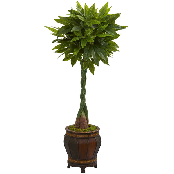 5’ Money Artificial Tree in Decorative Planter (Real Touch)