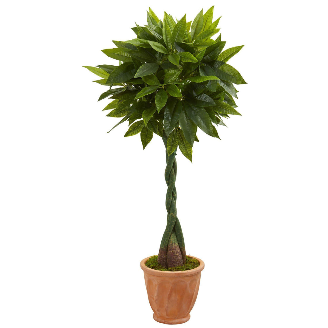 money tree terracotta 5’ Money Artificial Tree in Terracotta Planter (Real Touch)