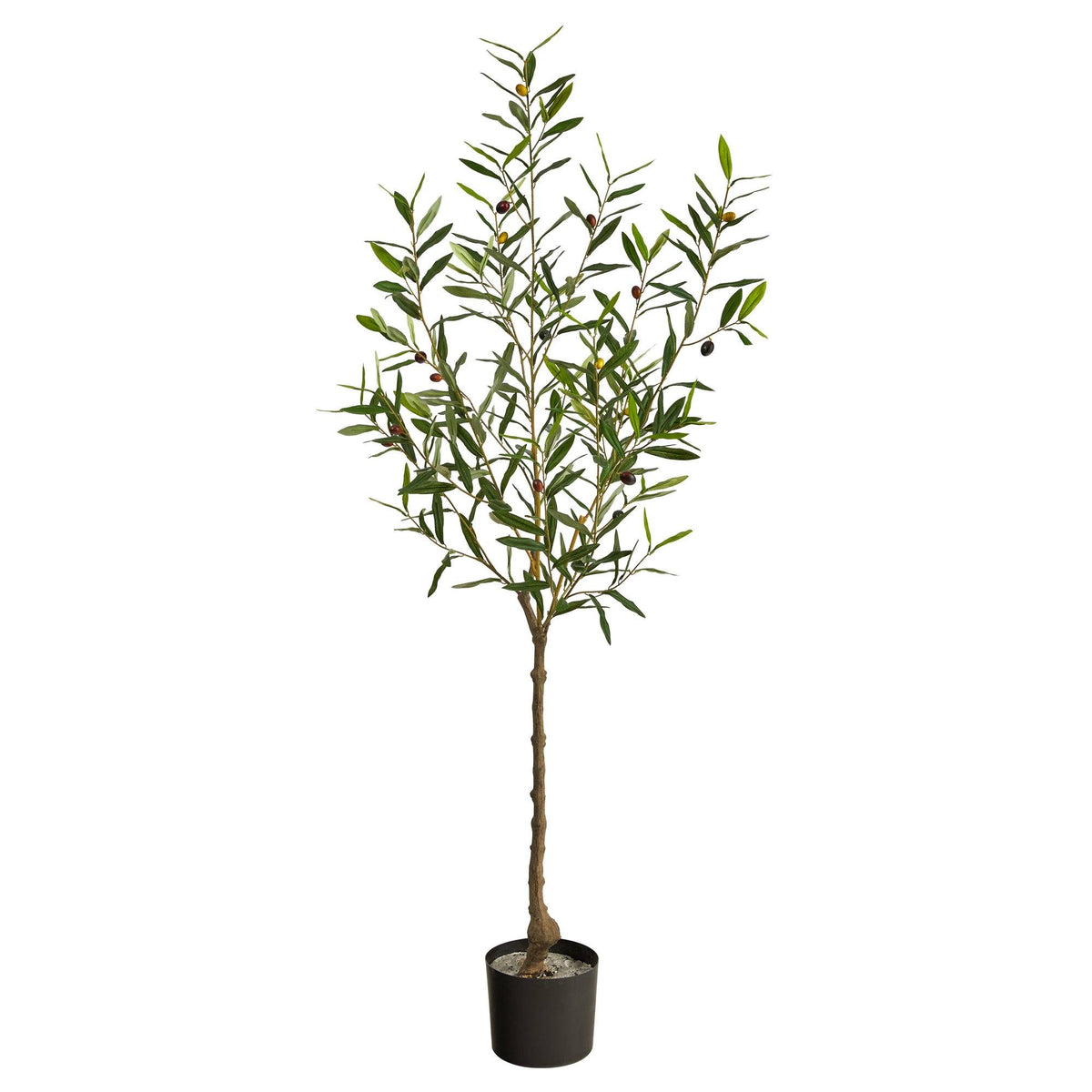 Faux Olive Tree Family Fake Olive Tree Collection Nearly Natural