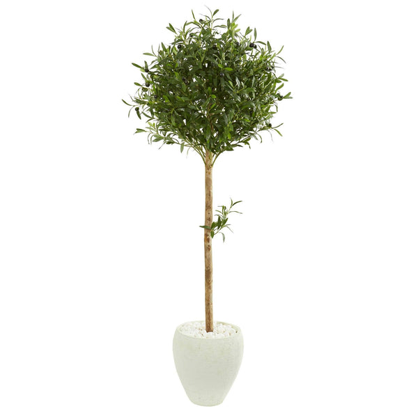 5’ Olive Topiary Artificial Tree in White Planter