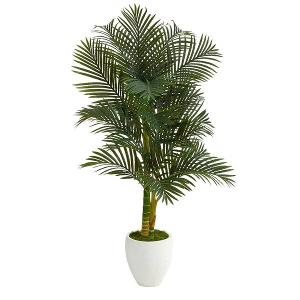 5’ Paradise Palm Artificial Tree in White Planter with Faux Moss