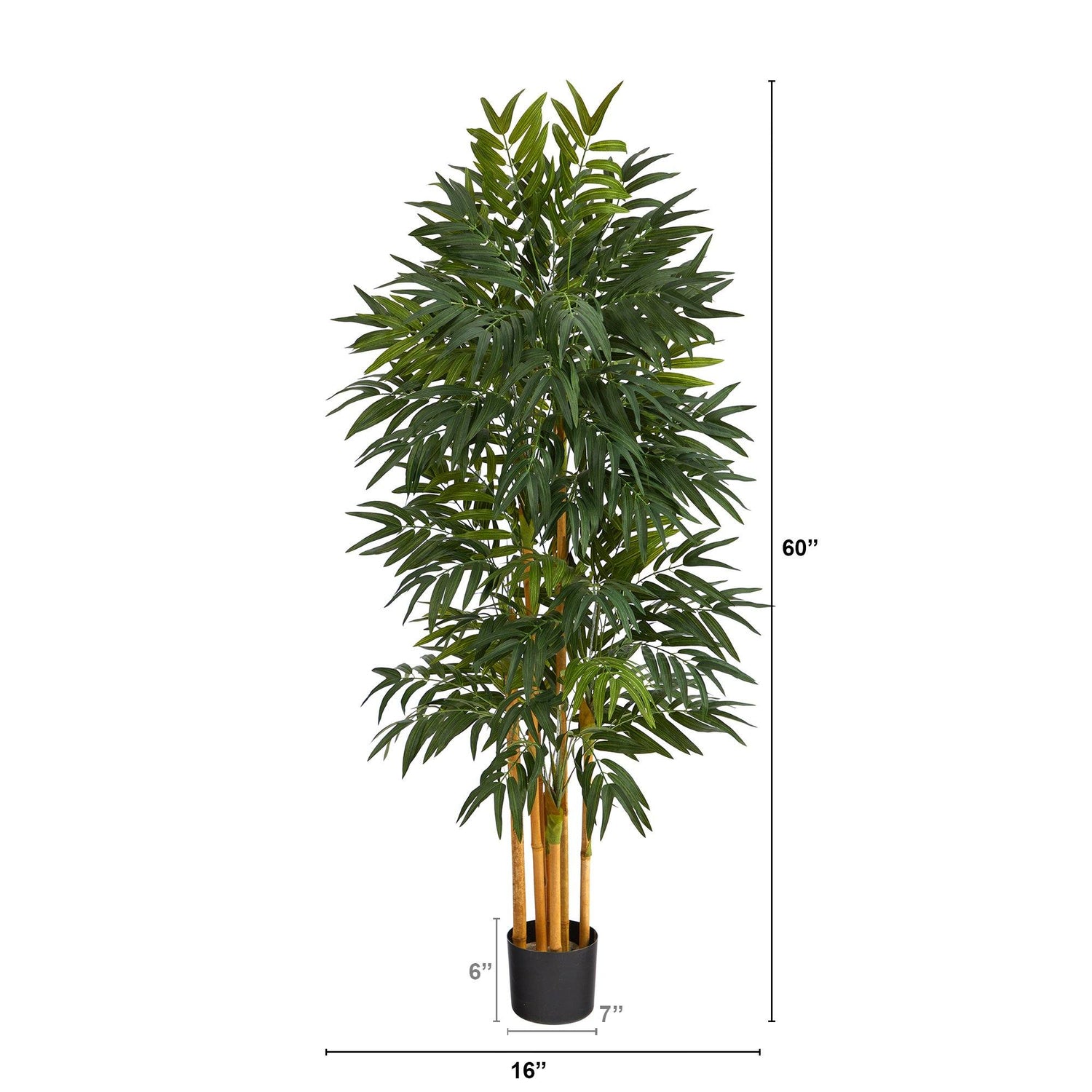 5’ Phoenix Palm Artificial tree with Natural Trunk
