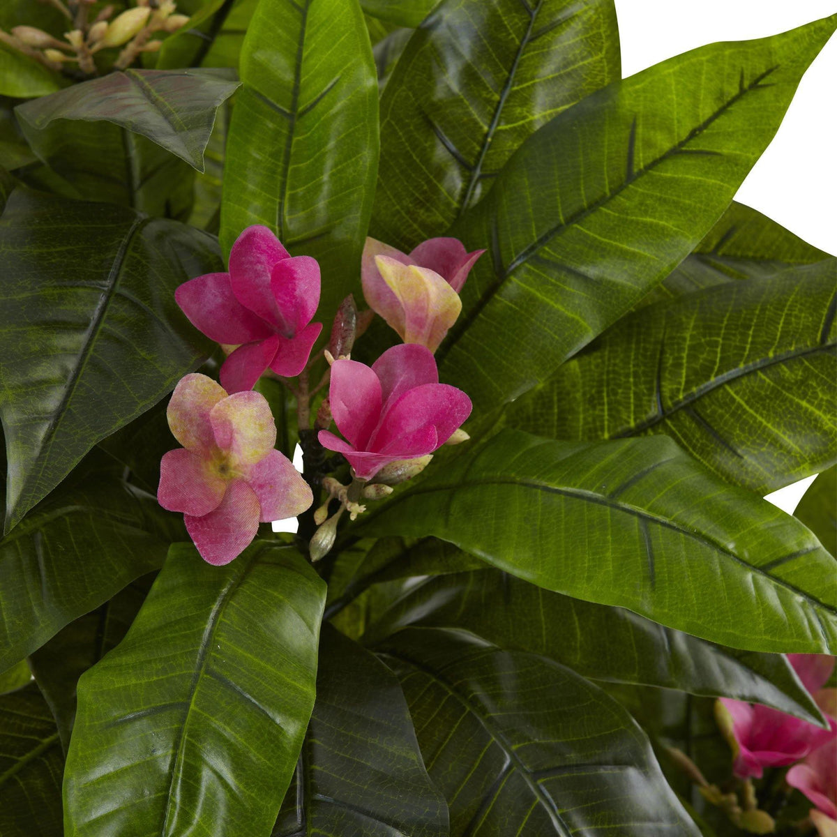 Artificial Silk Trees Faux Silk Trees Nearly Natural Page 4