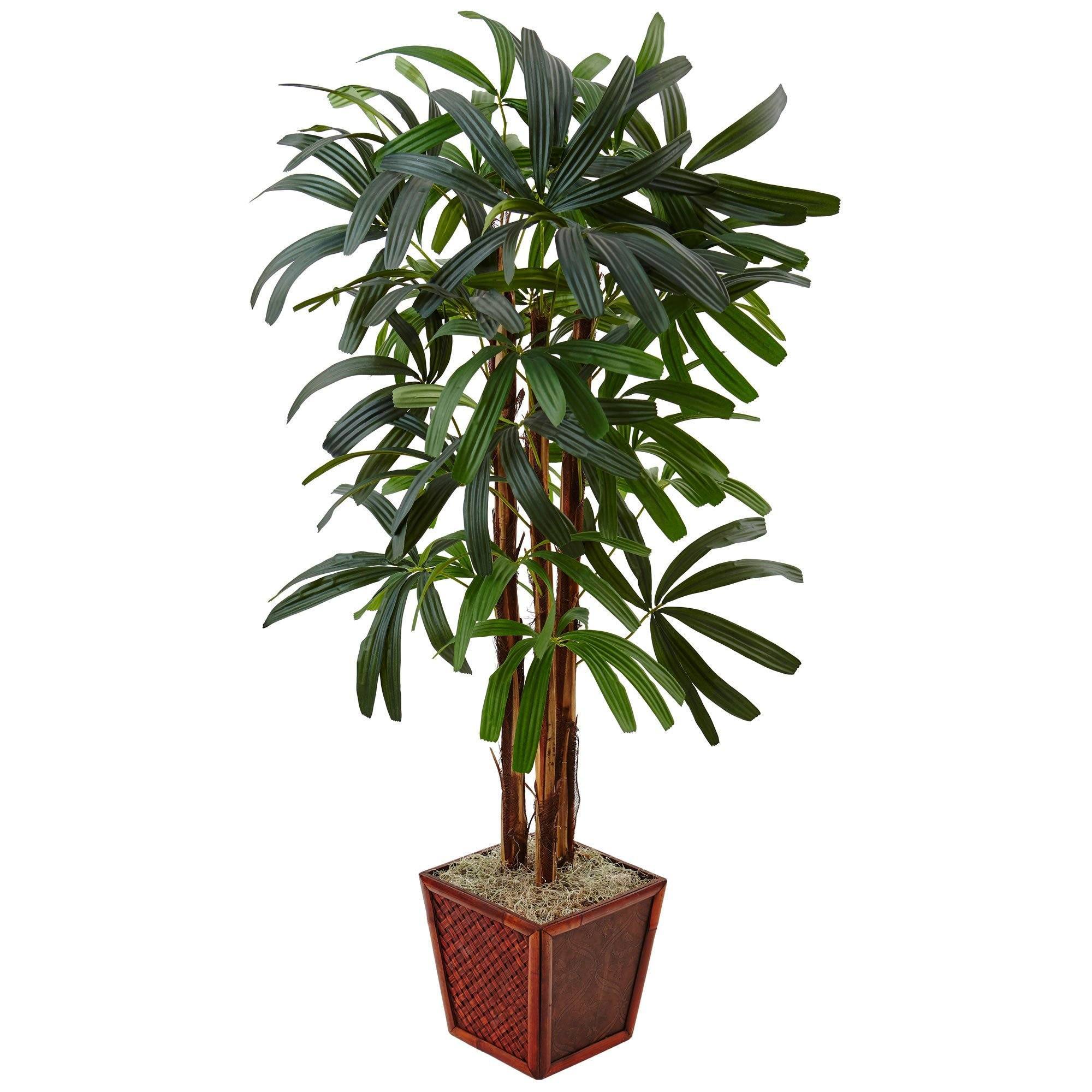 5’ Raphis Palm Tree in Bamboo Planter | Nearly Natural