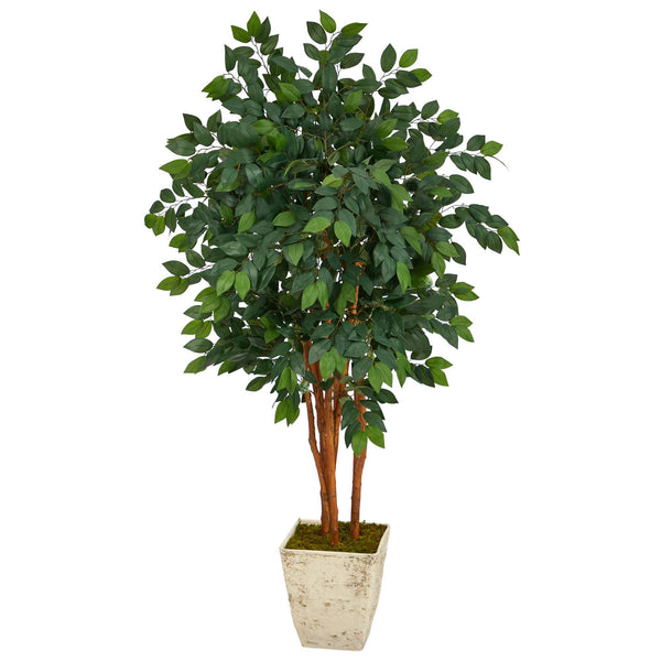 5’ Sakaki Artificial Tree in Country White Planter