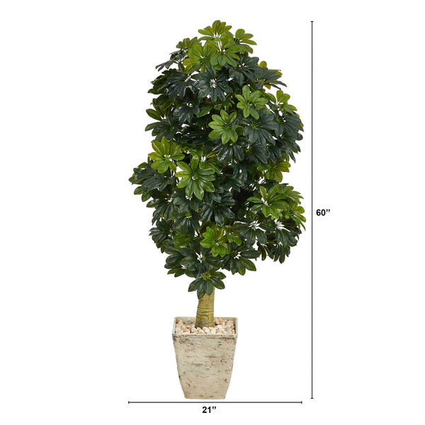 5' Schefflera Artificial Tree in Country White Planter (Real Touch)