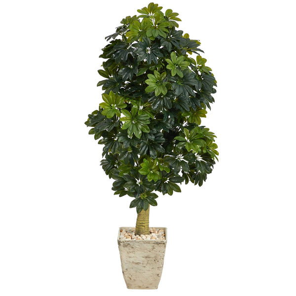 5' Schefflera Artificial Tree in Country White Planter (Real Touch)