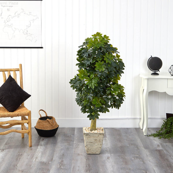 5' Schefflera Artificial Tree in Country White Planter (Real Touch)