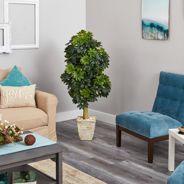 5' Schefflera Artificial Tree in Country White Planter (Real Touch)