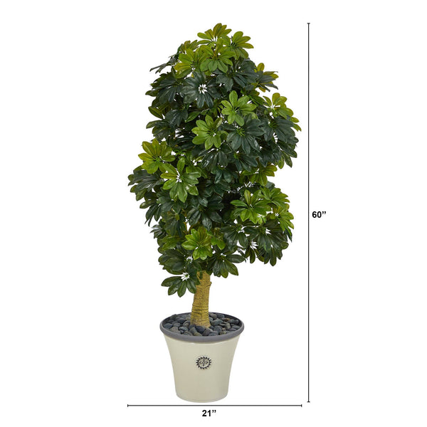 5' Schefflera Artificial Tree in Decorative Planter (Real Touch)